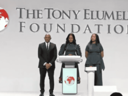 Entreprenariat africain :La Tony Elumelu Foundation comme levier