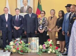 Réseaux de mobilité au Cameroun : quand l’expertise polonaise devient une option stratégique