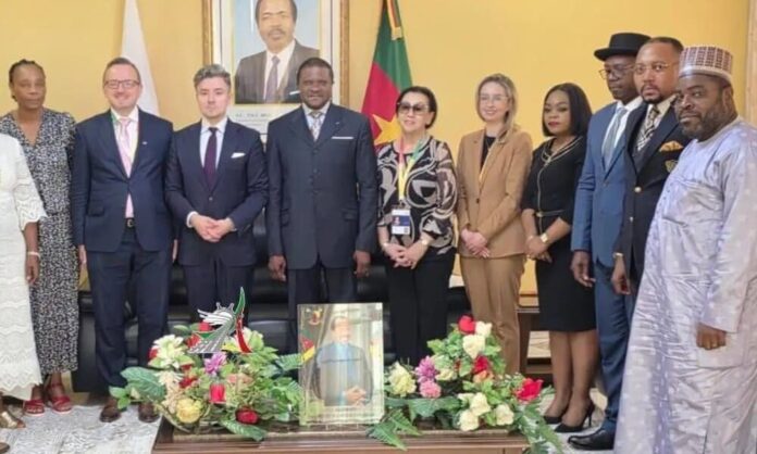 Réseaux de mobilité au Cameroun : quand l’expertise polonaise devient une option stratégique