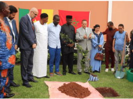 Coopération Cameroun−Maroc : L’arganier devient un symbole de rapprochement culturel