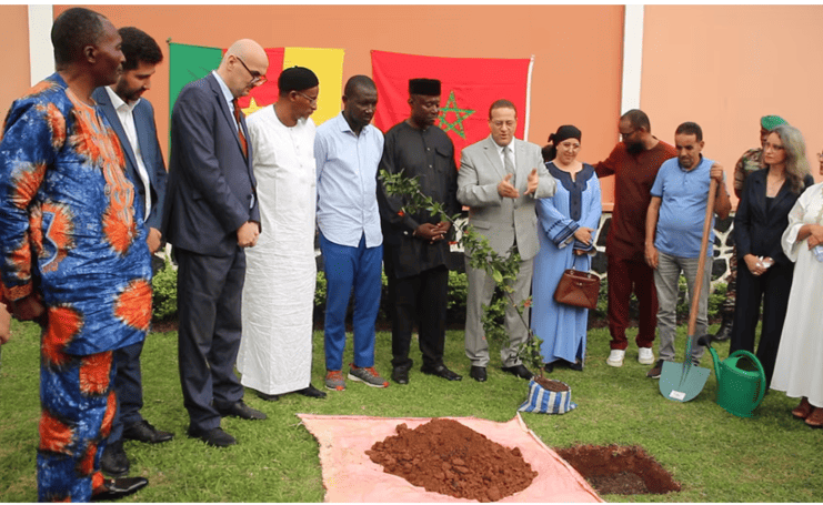 Coopération Cameroun−Maroc : L’arganier devient un symbole de rapprochement culturel