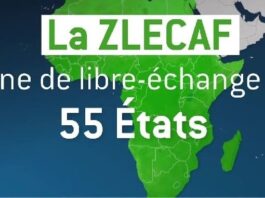 ZLECAf : l′intégration régionale en Afrique centrale -Le commerce des services, un levier stratégique