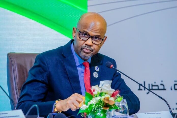 Shelter Afrique en expansion : Une rentabilité en hausse et des financements record