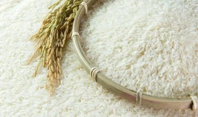 Sénégal : Dakar veut positionner le riz local