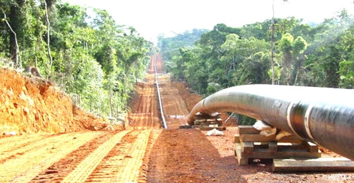 Pipeline Tchad-Cameroun : Le pari stratégique de la SNH sur Cotco se transforme en risque financier
