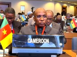 76ème session du Comité régional de l’OMS pour l’Afrique : le Cameroun plaide pour trois dossiers