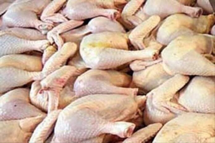 Commerce de la viande du poulet : L’Afrique devient un terrain de bataille entre l’Europe et le Brésil